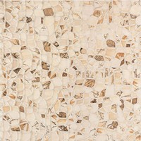 G559700 Jurassic Beige 50x50 cm Gol. A